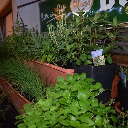 Apartment Marktstuebchen An Der Schoenen Loreley