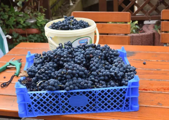 Marktstuebchen An Der Schoenen Loreley