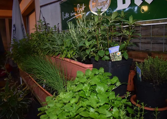 아파트 Marktstuebchen An Der Schoenen Loreley