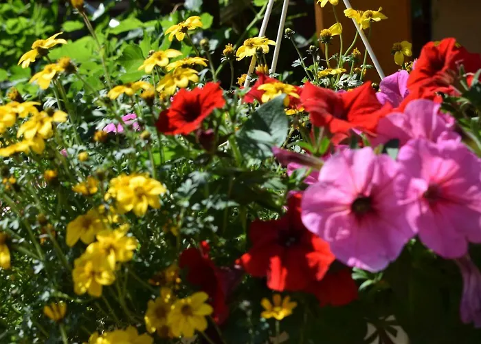 Marktstuebchen An Der Schoenen Loreley Bornich
